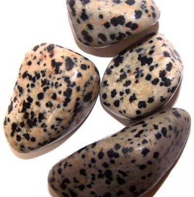 24 x L Tumble Stones - Dalmata