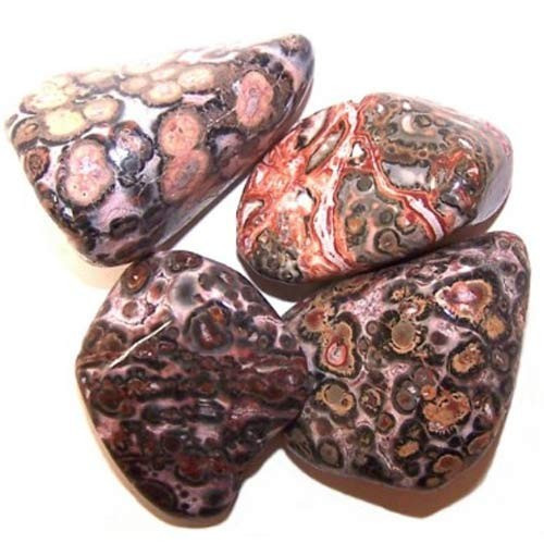 24 x L Tumble Stones - Leopard Skin