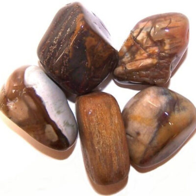 24 x L Tumble Stones - Madera Petrificada