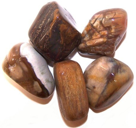 24 x L Tumble Stones - Madera Petrificada