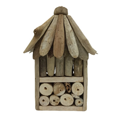 Driftwood Bee & Insect Double Box